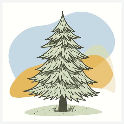 Stunning Fir Tree Illustration