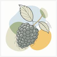 Stunning Black Mulberry Illustration, Perfect for Digital Art and Design Projects vector