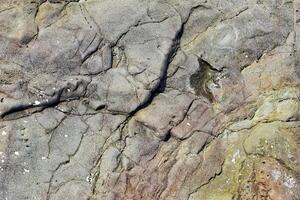 Natural stone surface close up view. photo