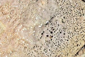 Natural stone surface close up view. photo