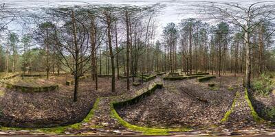 hdri panorama 360 in pine forest near concrete foundation covered with moss abandoned unfinished building and traces of ancient highly developed civilization in equirectangular spherical projection. photo