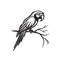 a black silhouette single line macaw with white background image vector