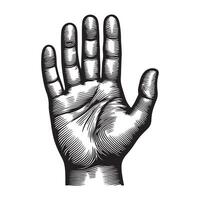 Hand palm outline image with white background vector