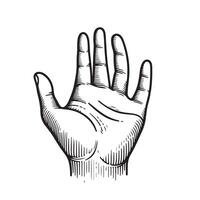 Hand palm outline image with white background vector