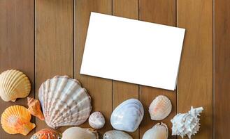 Top view of different sea shells with empty white note paper on wooden background. Summer time concept photo
