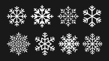 Intricate Winter Snowflake Collection vector