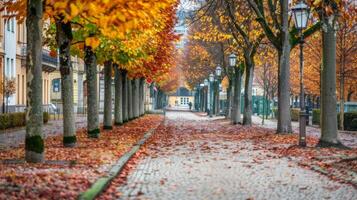 Scenic Urban Street Lined with Trees in Autumn. Concept of fall foliage, serene walkway, city environment, seasonal change photo