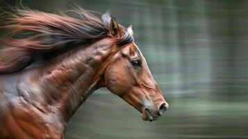 Close-Up of a Horse's Head and Mane in Motion. Concept of Equestrian Beauty, Animal Strength, Nature, Gallop, Fast Speed, Beauty in Motion, Freeze Frame photo