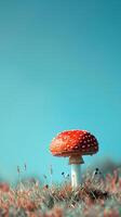 Red Mushroom fly agaric with White Spots in a Field against Clear Blue Sky. Concept of nature, fungi, tranquil outdoor scene. Vertical photo