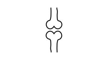 Human bone outline icon animation. transparent background video