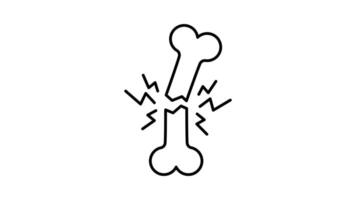 Human bone outline icon animation. transparent background video