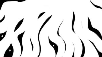 White fluid transitions loop animation video