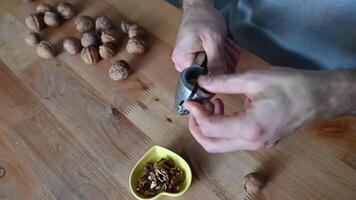 hands of a man cracking walnuts with a nutcracker video