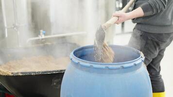 disposal of residual malt after brewing beer in the brewery video