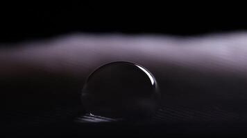 Drop of water on a bird feather, cold light, macro view video