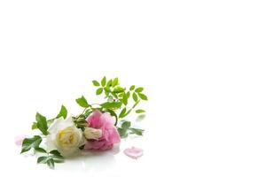 wooden light background with white and pink roses photo
