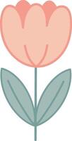 Soft Peach Tulip Flower Illustration vector