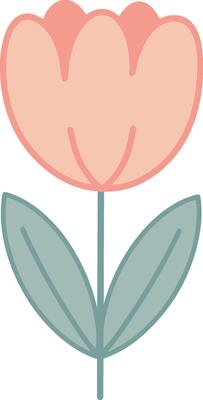 Soft Peach Tulip Flower Illustration