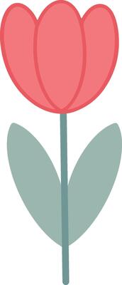 Simple Red Tulip Flower Illustration