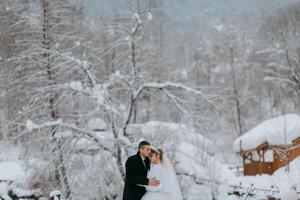 A couple is standing in the snow, with the bride wearing a white dress. They are hugging each other, and the bride is wearing a veil. The scene is set in a snowy forest, with trees in the background photo