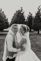 A bride and groom are standing in a field with trees in the background. The bride is wearing a veil and the groom is wearing a vest. They are embracing each other and looking into each other's eyes photo