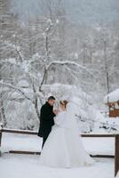 A bride and groom are standing in the snow, with the bride wearing a white dress and the groom wearing a black coat photo