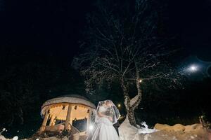A bride and groom are standing in the snow, with a tree behind them. The scene is set at night, and the couple is dressed in white. Scene is romantic and intimate photo