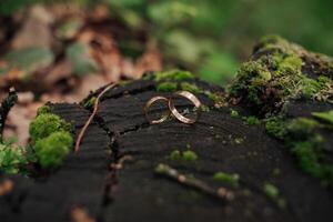 Two wedding rings are on a mossy log. The rings are gold and are placed on top of each other. Concept of love and commitment, as the rings are often worn by couples to symbolize their bond photo