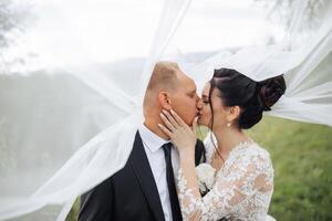 A bride and groom kiss under a white veil. The bride is wearing a white lace dress and the groom is wearing a black suit. The scene is set in a grassy field photo
