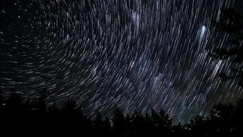 Time lapse of comet-shaped star trails over the forest in the night sky. Stars move around a polar star. 4K video