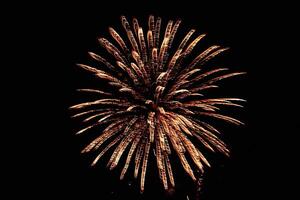 A fireworks display is lit up in the night sky. The fireworks are in the shape of a flower, with the petals being the individual fireworks. The display is bright and colorful, creating a festive photo