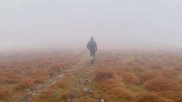 The tourist goes in the mountains during a strong fog and a hurricane video
