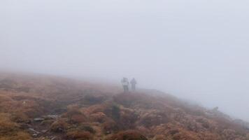 Group of tourist goes in the mountains during a strong fog and a hurricane video