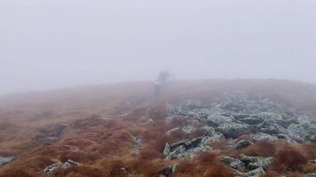 Group of tourist goes in the mountains during a strong fog and a hurricane video