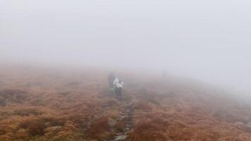 Group of tourist goes in the mountains during a strong fog and a hurricane video