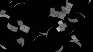 Animation of money falling on a transparent background video