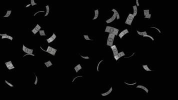 Animation of money falling on a transparent background video