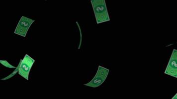 Animation of money falling on a transparent background video