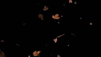 Animation of dry fallen leaves on a transparent background video