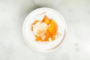 Stewed papaya with apricot juice and snow fungus served in bowl isolated on grey background top view of asian food photo