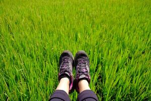 Selfie of woman feet and black sneaker with rice paddy field on mountain photo