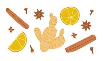 Spices seamless Organic product flat. Clove Spice ginger, cinnamon, lemon, anis for food or drink design isolate on white . vector