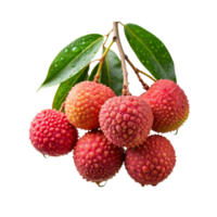 lychee branches from trees png