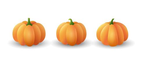 Set of orange ripe pumpkins isolated on white background vector