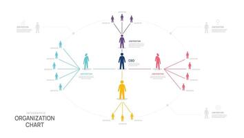 Organization infographic template for network chart with business avatar icons. infographic for business company. vector