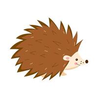 cute cartoon hedgehog illustration vector