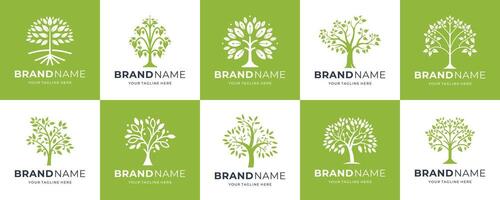 A set of logos with the image of a tree design inspiration. vector
