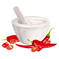 Grind red chili pepper in a mortar made of white granite. Watercolor illustration. Hot pepper is a traditional ingredient of Indian and Mexican cuisine. Clipart for design, menu, packaging. png