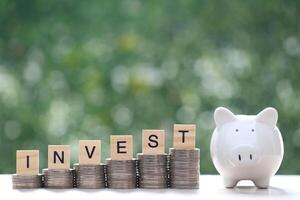 Finance, Piggy bank and coins money on natural green background, investment and business concept photo