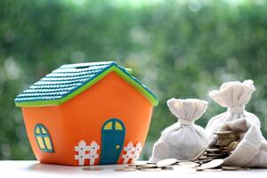 Finance, Model house with money bag on natural green background,Business investment and Save money for prepare in future concept photo